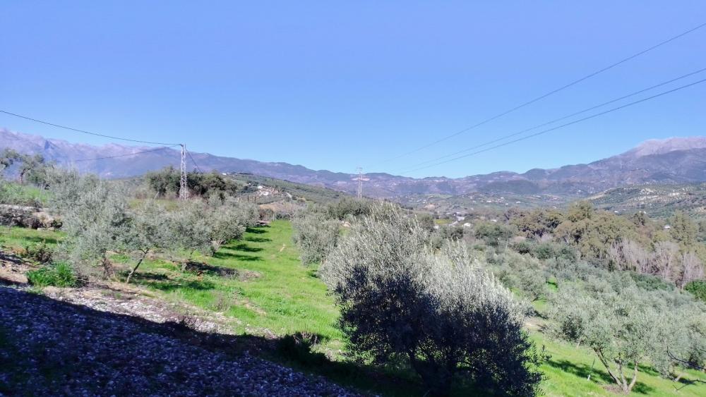  till salu hus på landet Monda Sierra De Las Nieves 24