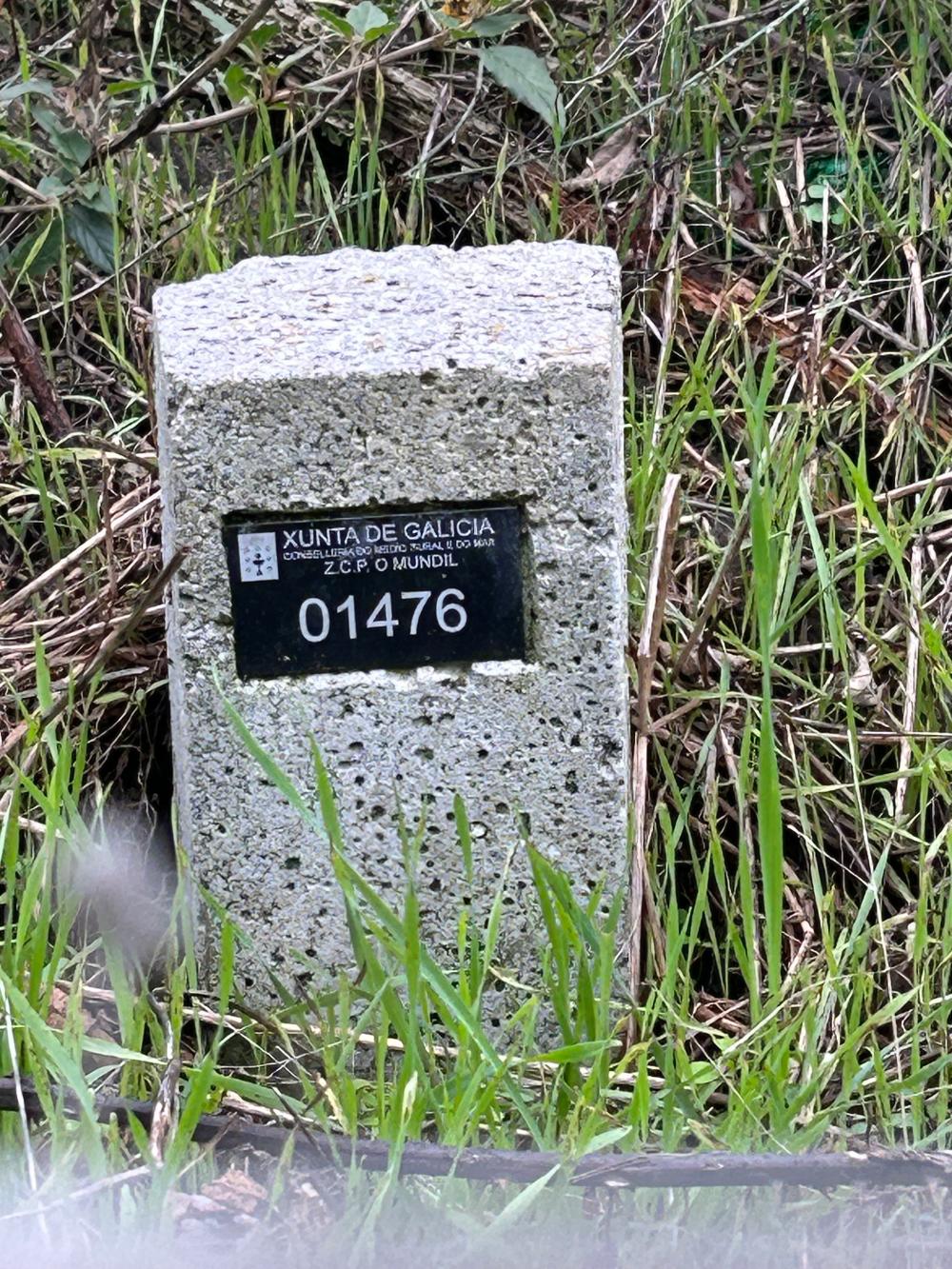  till salu hus A Teixeira Terra Da Celanova 2