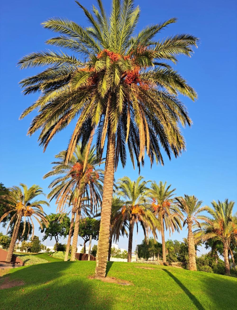  till salu villa Retamar Comarca Metropolitana De Almería 31