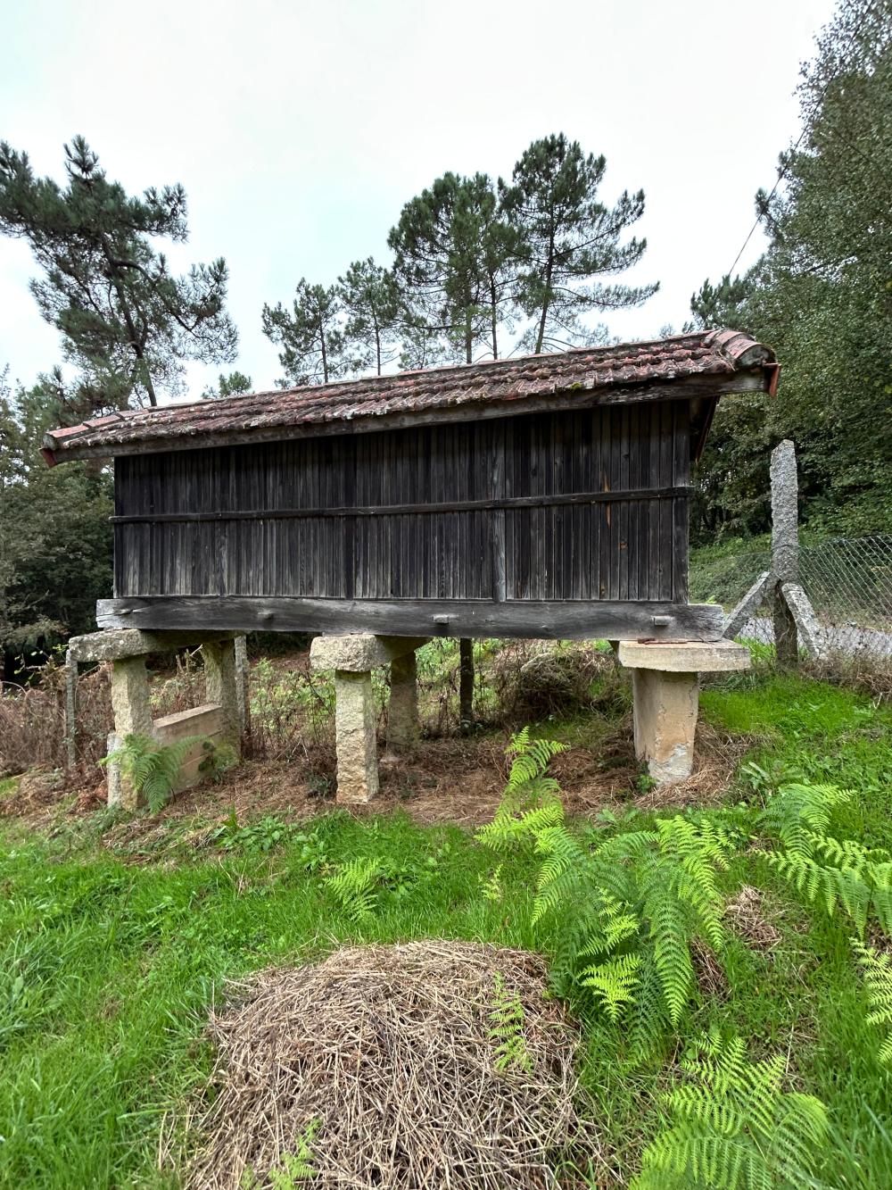  till salu hus A Teixeira Terra Da Celanova 8