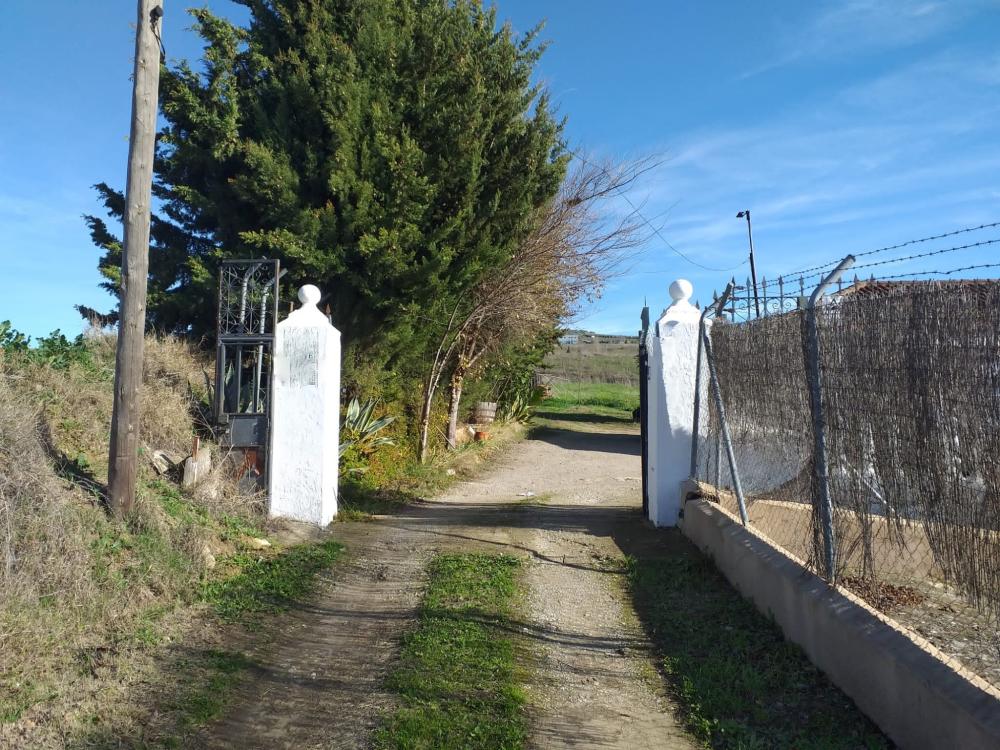  till salu hus på landet Arriate Serranía De Ronda 3