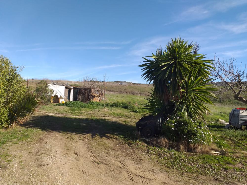 till salu hus på landet Arriate Serranía De Ronda 8