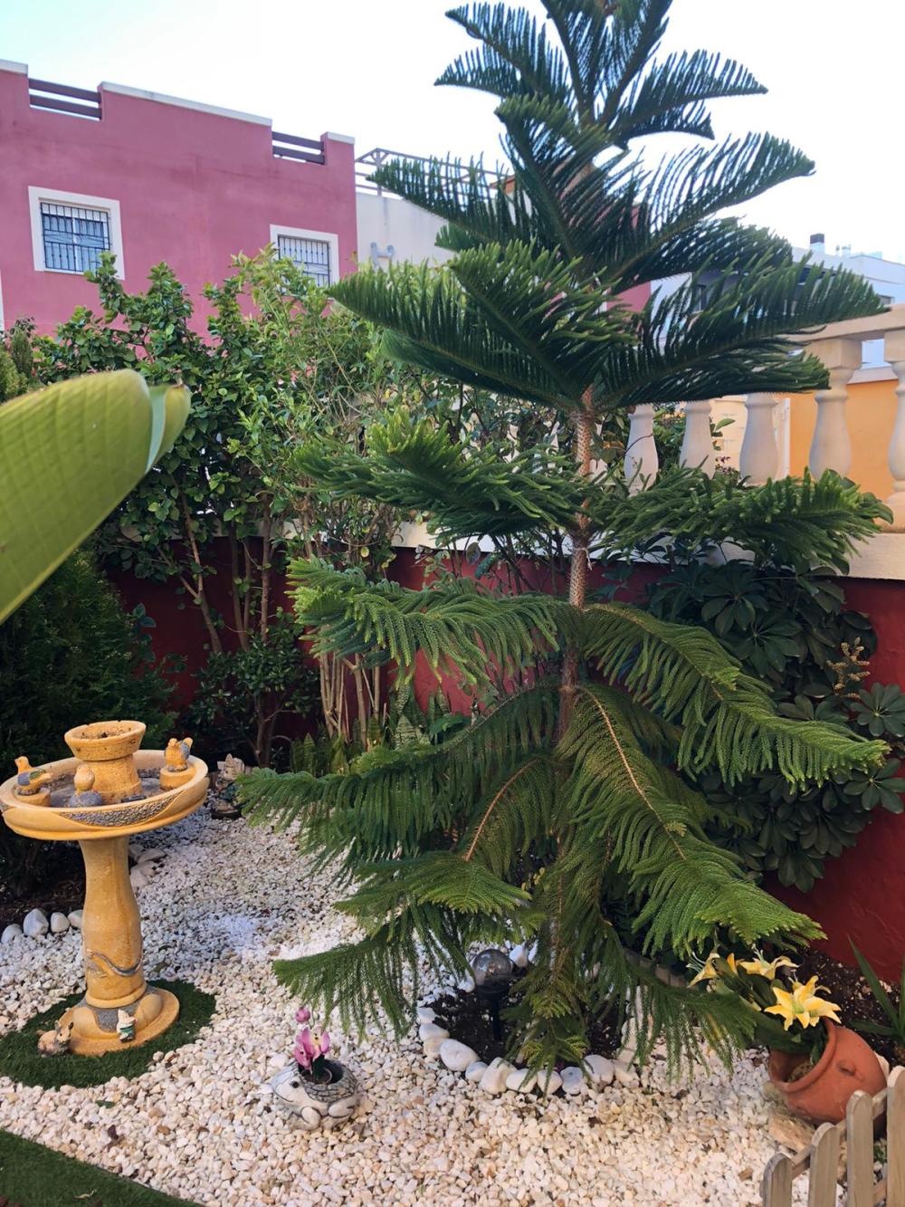  till salu bottenvåning Orihuela Costa Baix Segura 10