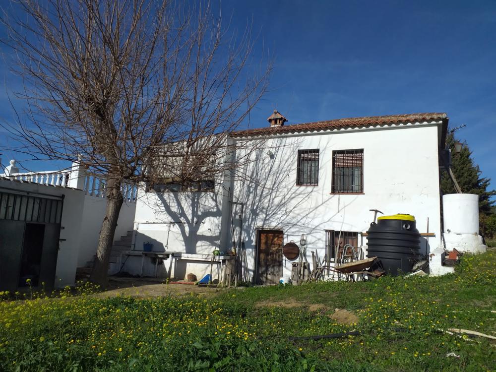  till salu hus på landet Arriate Serranía De Ronda 4
