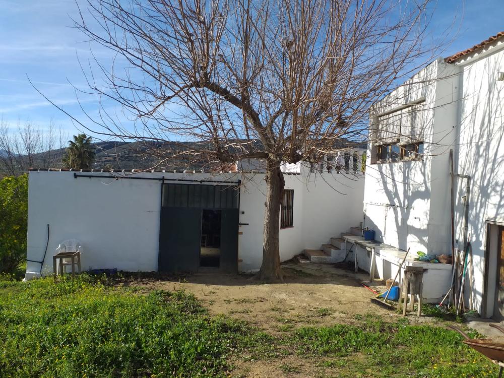  till salu hus på landet Arriate Serranía De Ronda 5