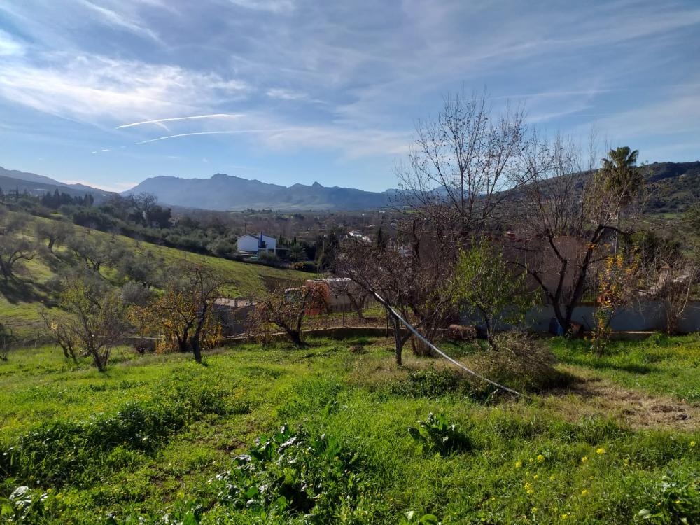  till salu hus på landet Arriate Serranía De Ronda 6