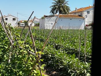 Barrio Roca Horta Nord hus på landet foto 6078454