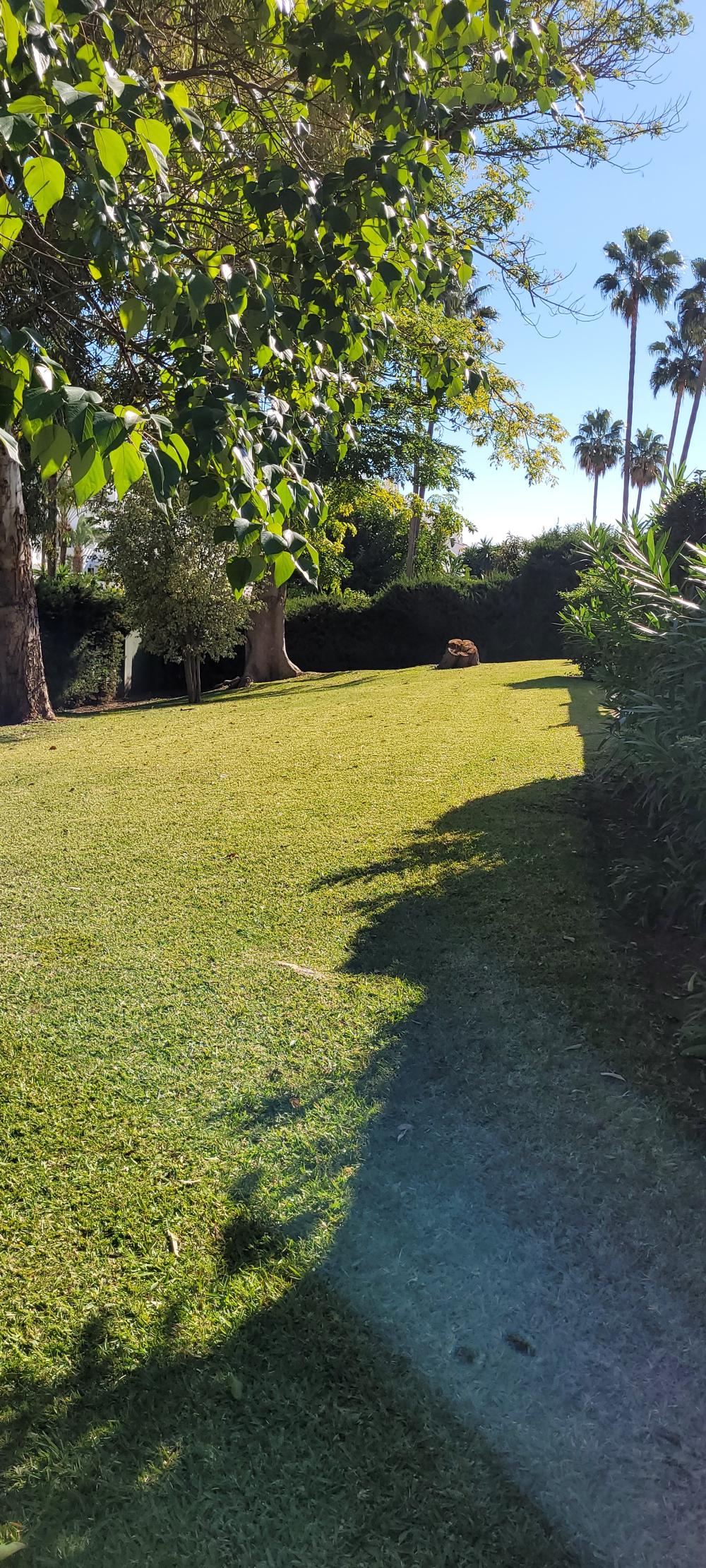  till salu radhus Nueva Andalucía Costa Del Sol Occidental 28