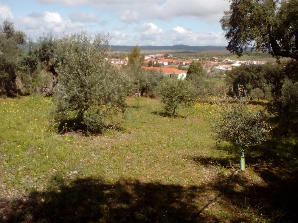  till salu hus La Codosera Alburquerque 8
