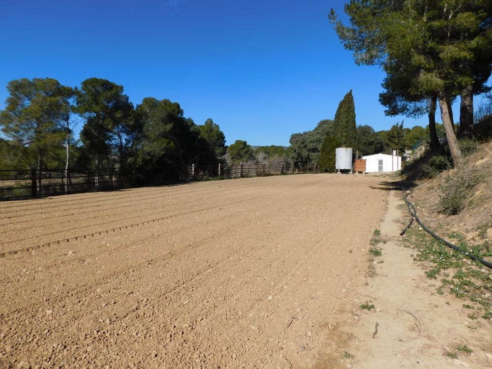  till salu villa Guardiola De Font-Rubi Alt Penedès 6