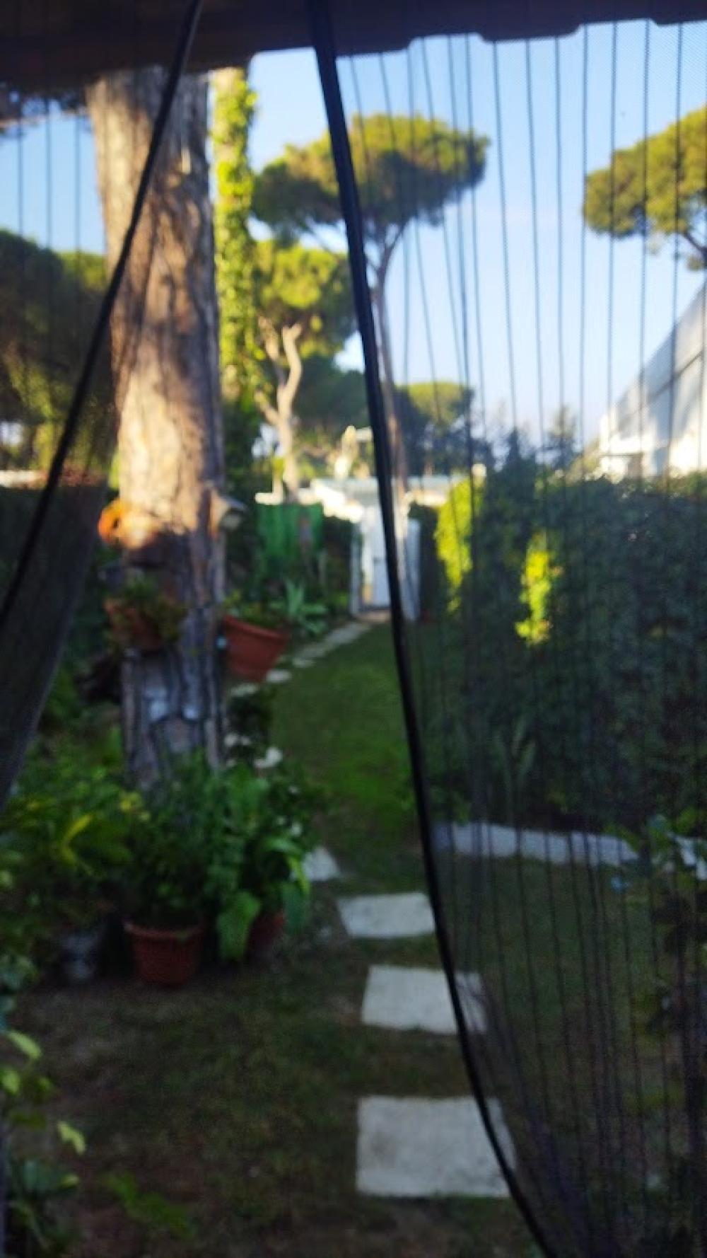  till salu hus på landet Chiclana De La Frontera Bahía De Cádiz 16