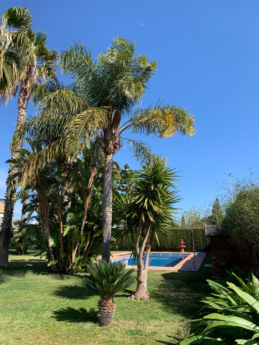  till salu villa San Antonio De Benagéber Camp De Túria 3