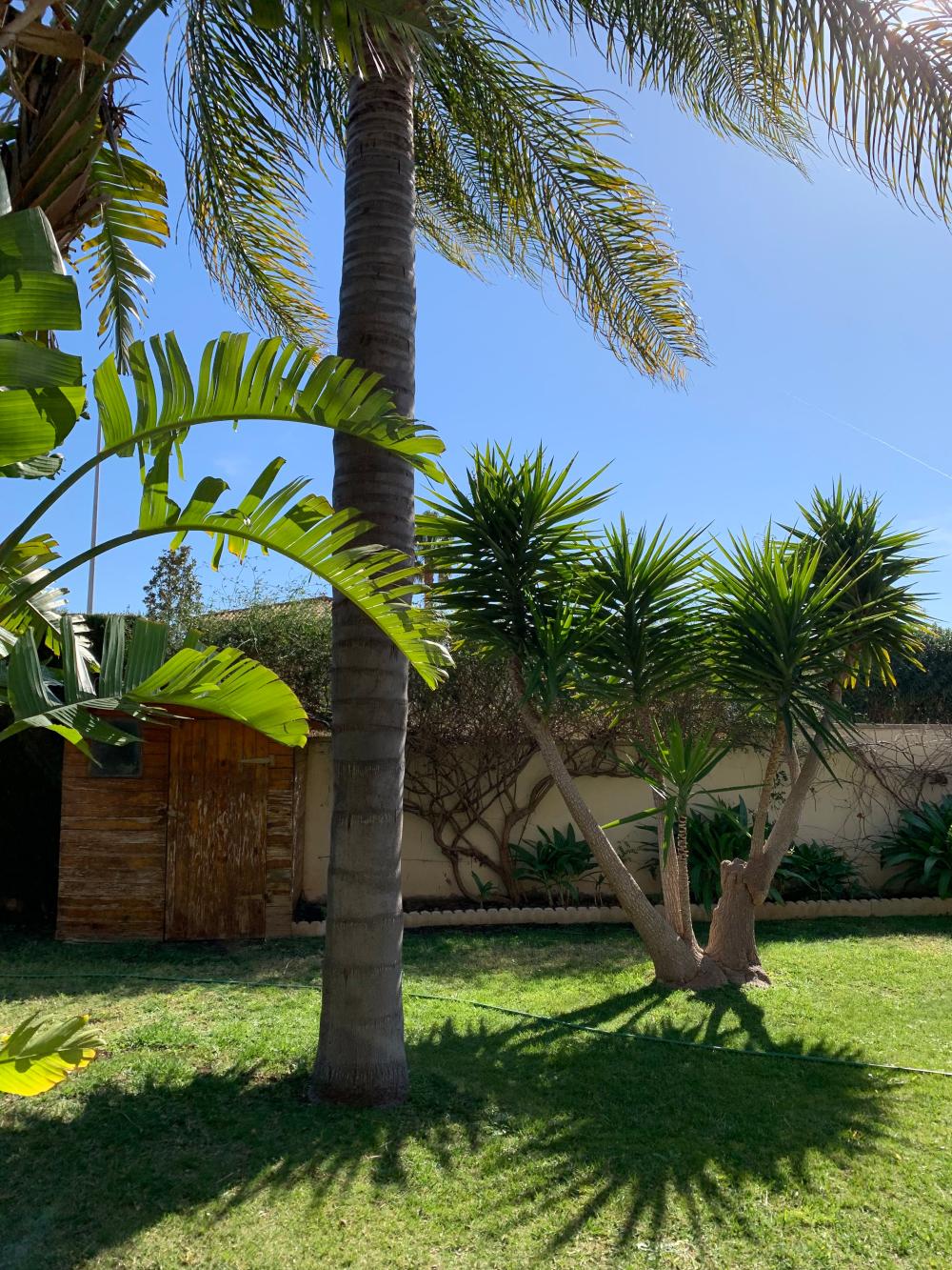  till salu villa San Antonio De Benagéber Camp De Túria 127
