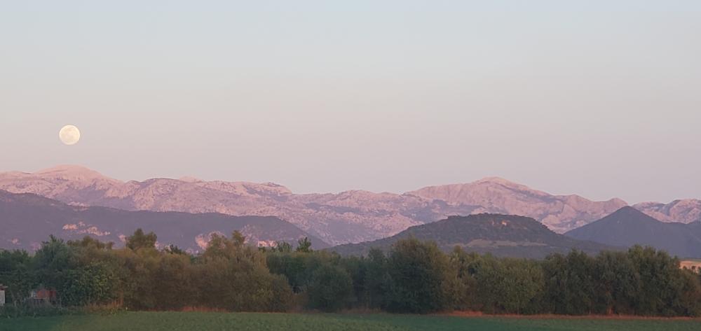 till salu hus på landet Arcos De La Frontera Sierra De Cádiz 41