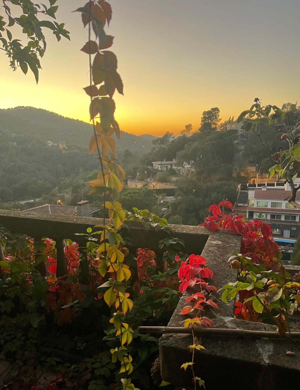  till salu hus Sarrià-Sant Gervasi-Vallvidrera-Tibidabo-Les Planes Barcelonès 30