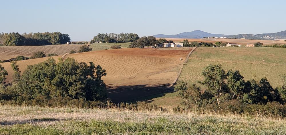  till salu hus på landet Arcos De La Frontera Sierra De Cádiz 32