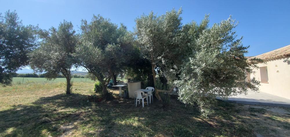  till salu hus på landet Arcos De La Frontera Sierra De Cádiz 13