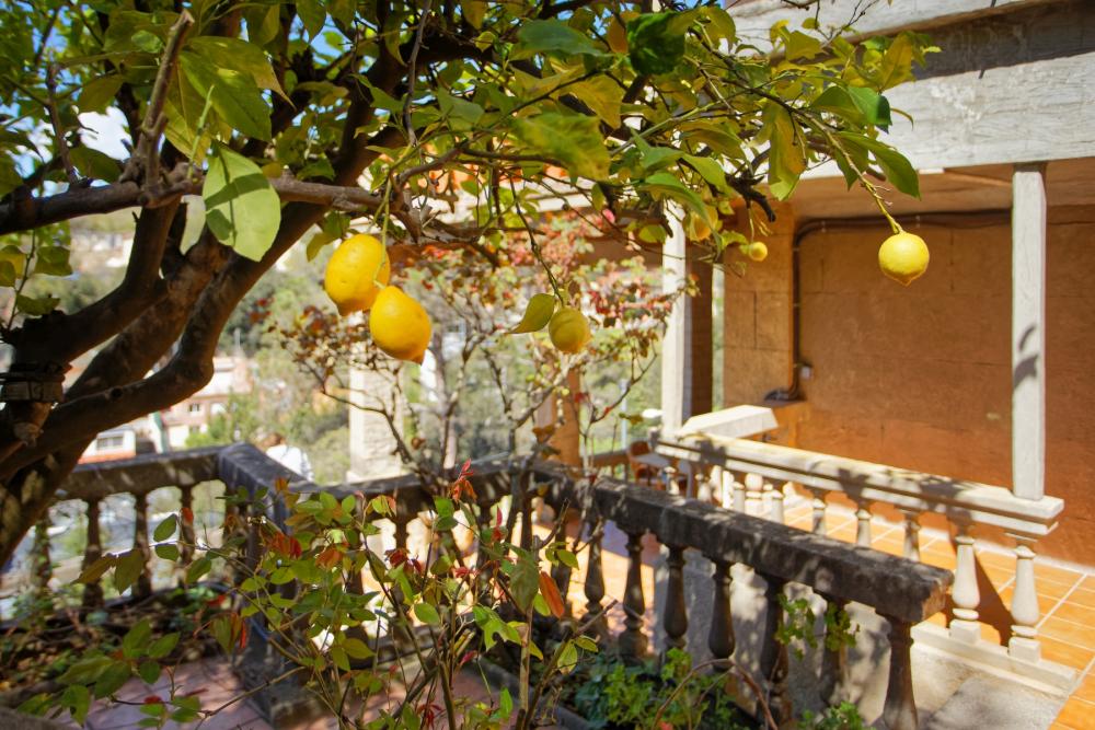  till salu hus Sarrià-Sant Gervasi-Vallvidrera-Tibidabo-Les Planes Barcelonès 28