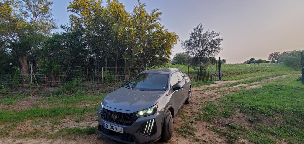  till salu hus på landet Arcos De La Frontera Sierra De Cádiz 31