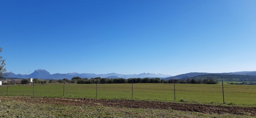  till salu hus på landet Arcos De La Frontera Sierra De Cádiz 35