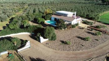 Aznalcázar Aljarafe hus på landet foto 5869511