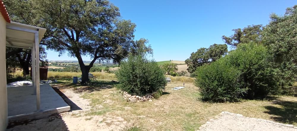  till salu hus på landet Arcos De La Frontera Sierra De Cádiz 16