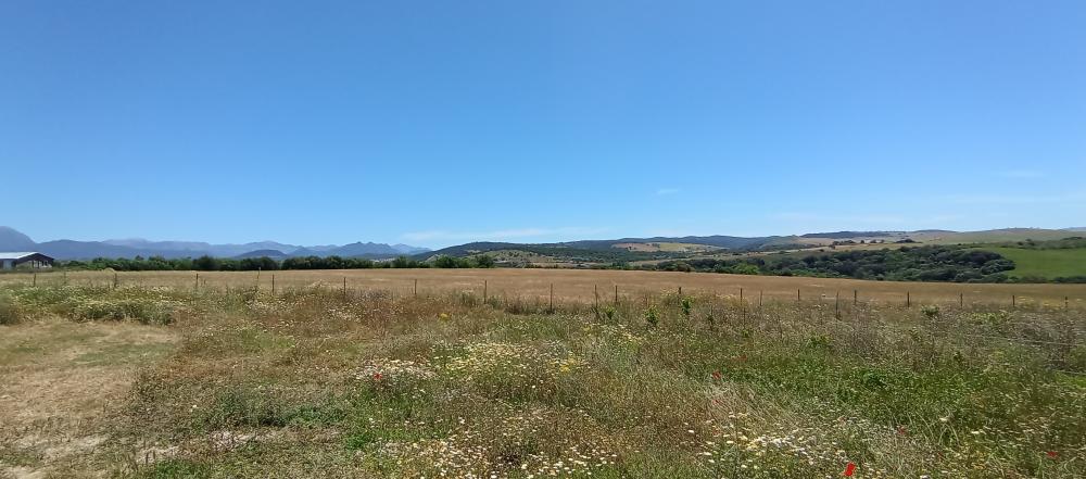  till salu hus på landet Arcos De La Frontera Sierra De Cádiz 49