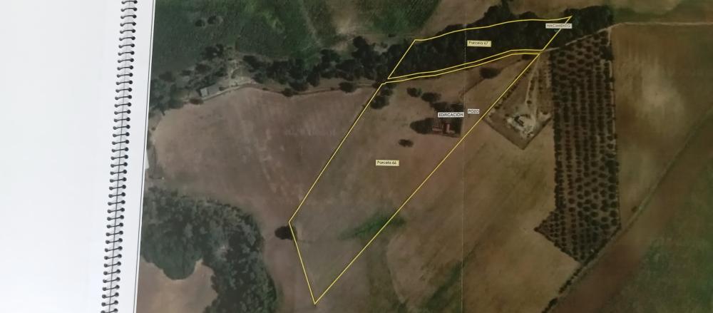  till salu hus på landet Arcos De La Frontera Sierra De Cádiz 52