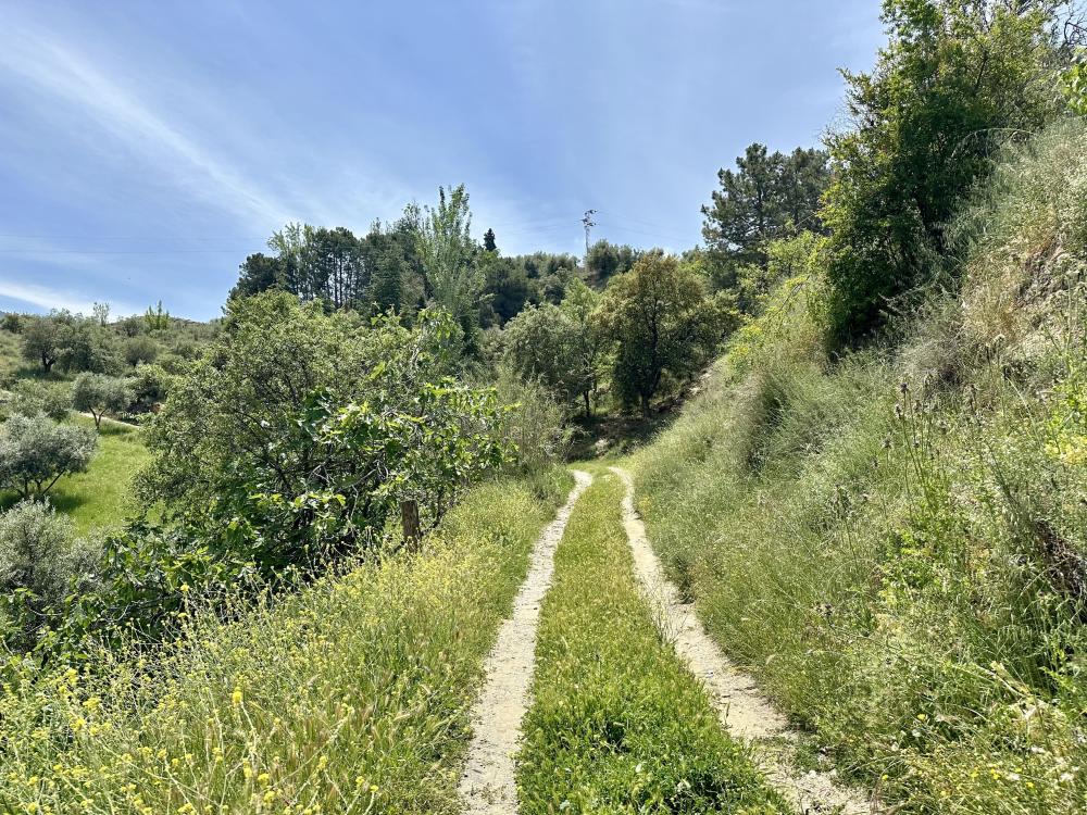  till salu hus på landet Monachil Vega De Granada 27