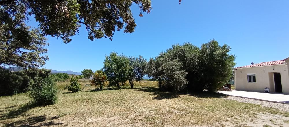  till salu hus på landet Arcos De La Frontera Sierra De Cádiz 5