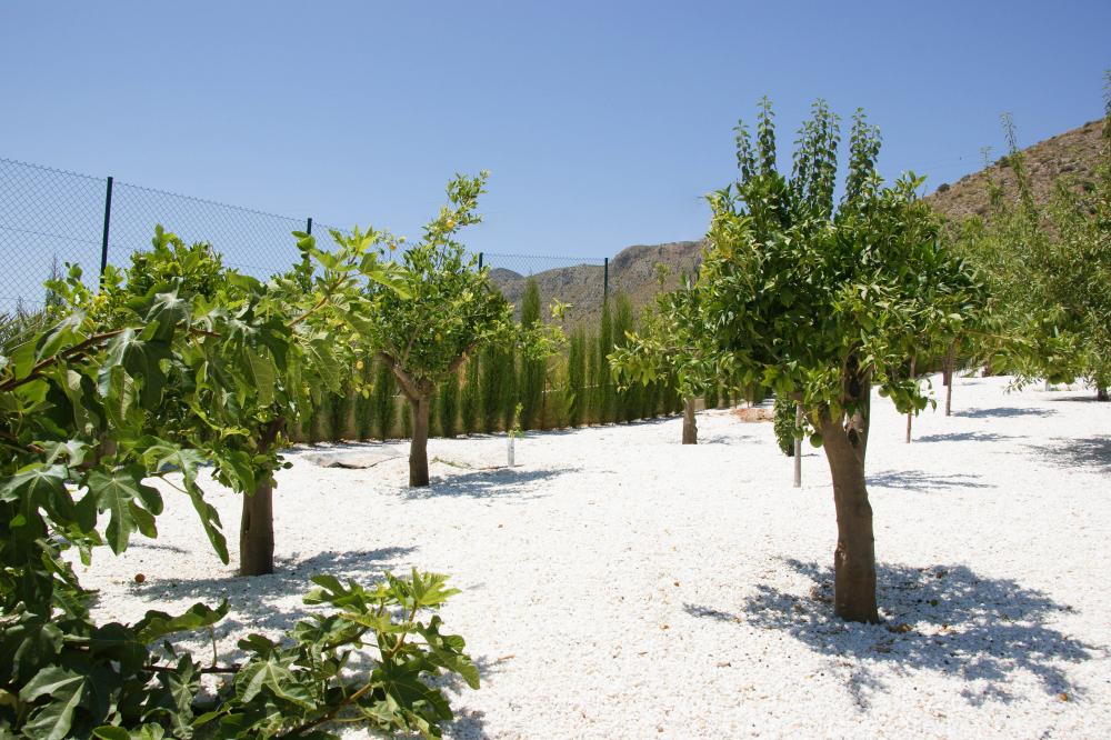  till salu villa Hondón De Las Nieves Vinalopó Mitjà 47