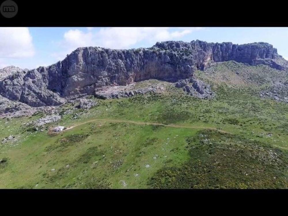  till salu hus på landet Villanueva De La Concepción Antequera 3