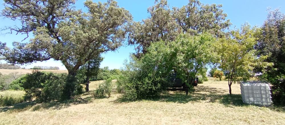  till salu hus på landet Arcos De La Frontera Sierra De Cádiz 50
