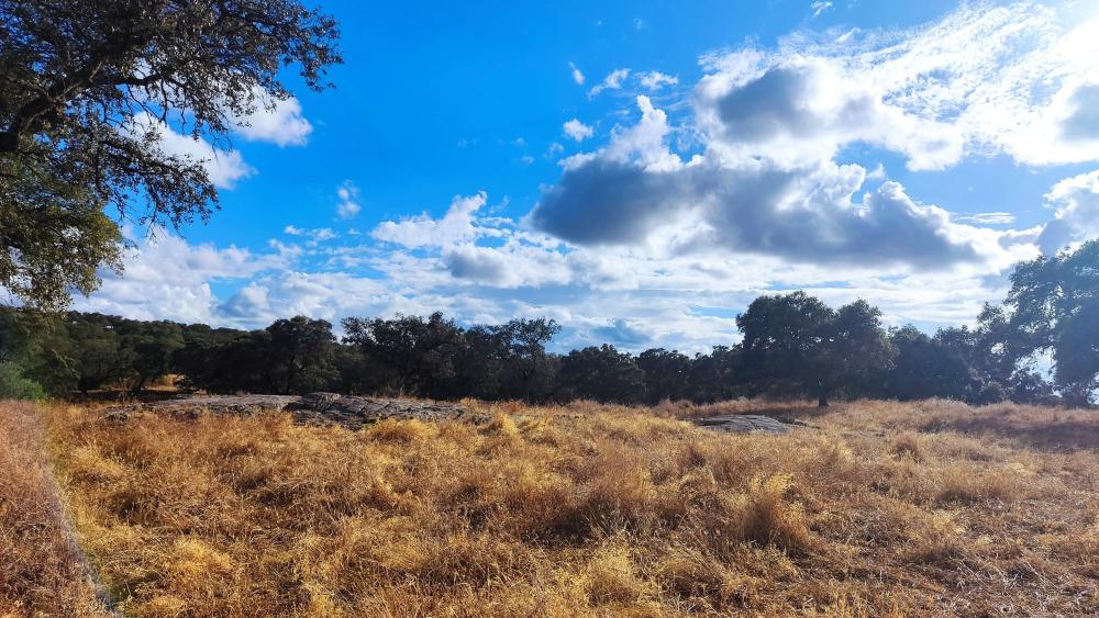  till salu hus på landet Santa Olalla Del Cala Sierra De Huelva 12