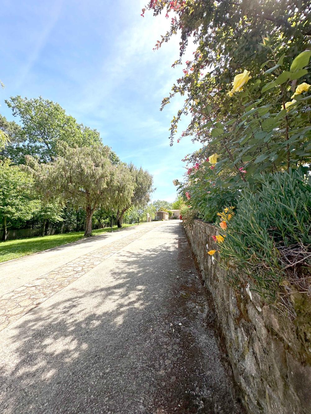  till salu hus på landet Villanueva De La Vera La Vera 8