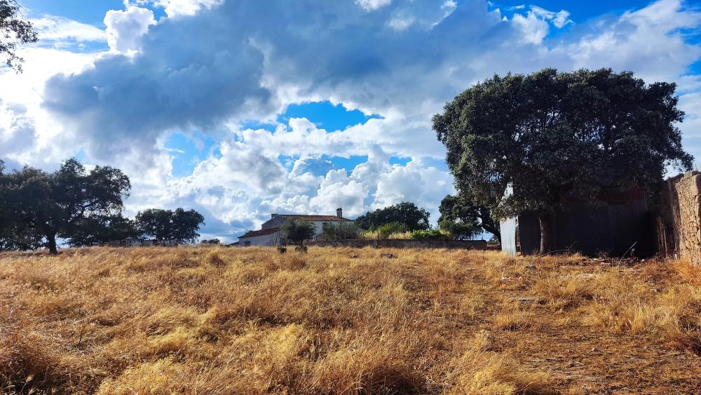  till salu hus på landet Santa Olalla Del Cala Sierra De Huelva 5