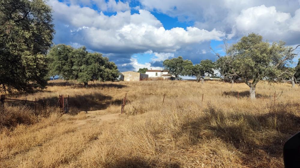  till salu hus på landet Santa Olalla Del Cala Sierra De Huelva 8