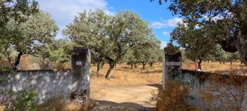 Santa Olalla Del Cala Sierra De Huelva hus på landet foto 5944163
