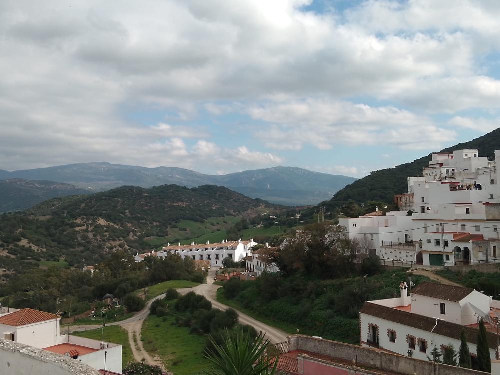  till salu hus Alcalá De Los Gazules Janda (La) 17