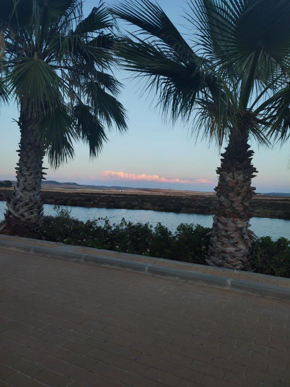  till salu hus Conil De La Frontera Janda (La) 20