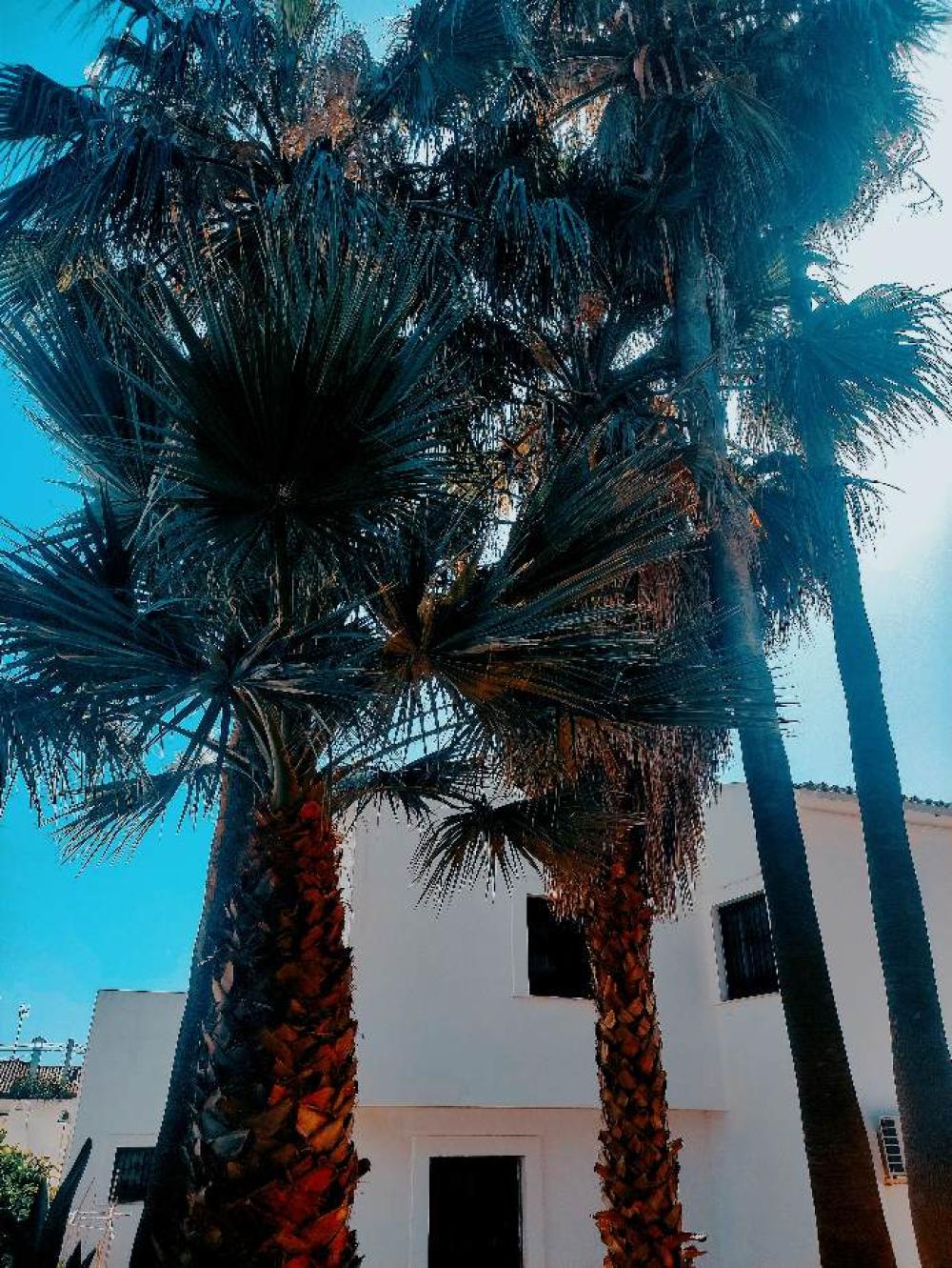  till salu villa Estepona Costa Del Sol Occidental 2