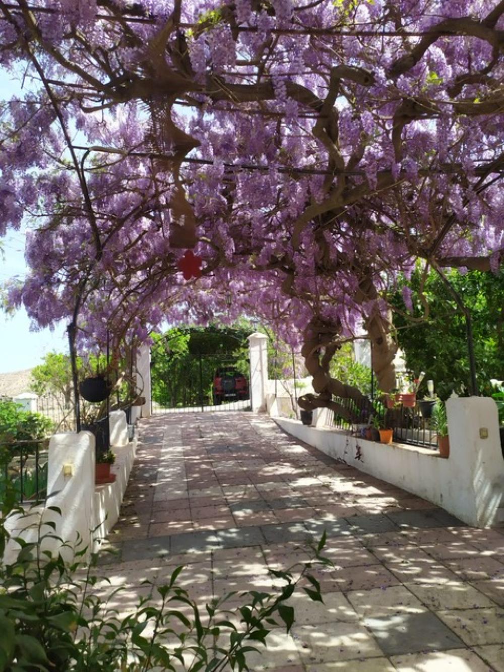  till salu hus Terque Alpujarra Almeriense 1