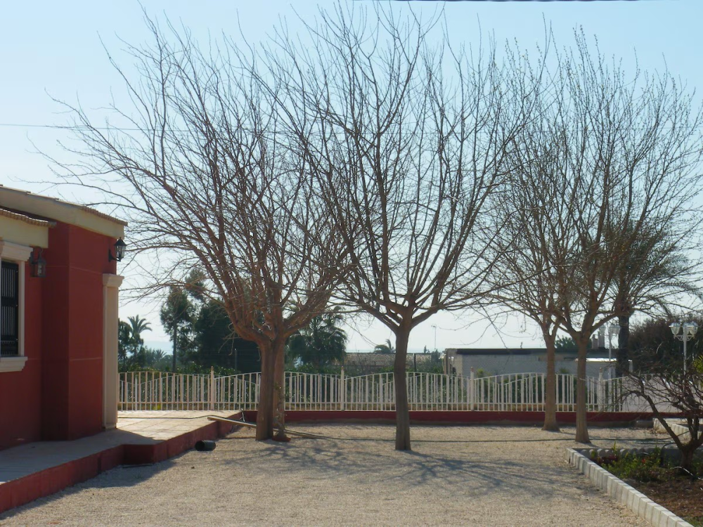  till salu villa Pla De Sant Josep Baix Vinalopó 12