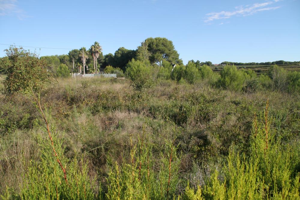  till salu villa Godelleta Hoya De Buñol 9
