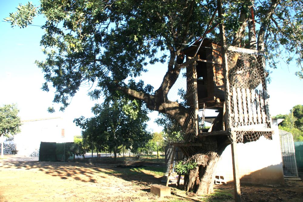  till salu villa Godelleta Hoya De Buñol 6