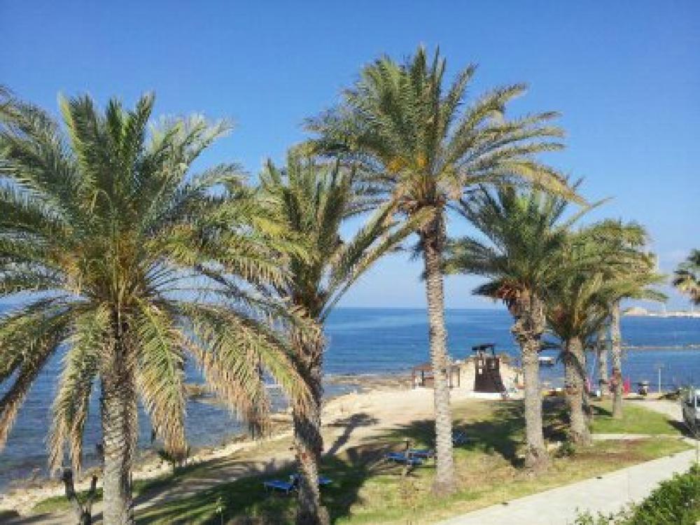  till salu lägenhet Playa Paraíso Campo De Cartagena 14
