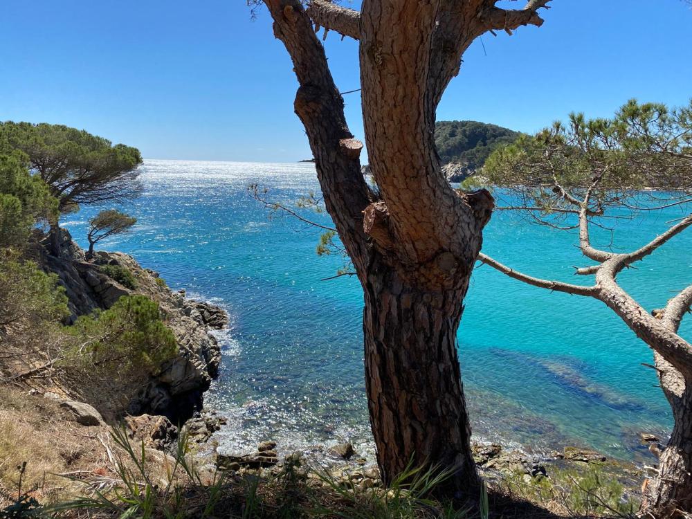  till salu lägenhet Cala Margarida Baix Empordà 15