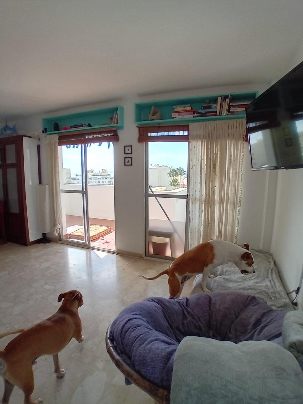  till salu lägenhet Marbella Costa Del Sol Occidental 8