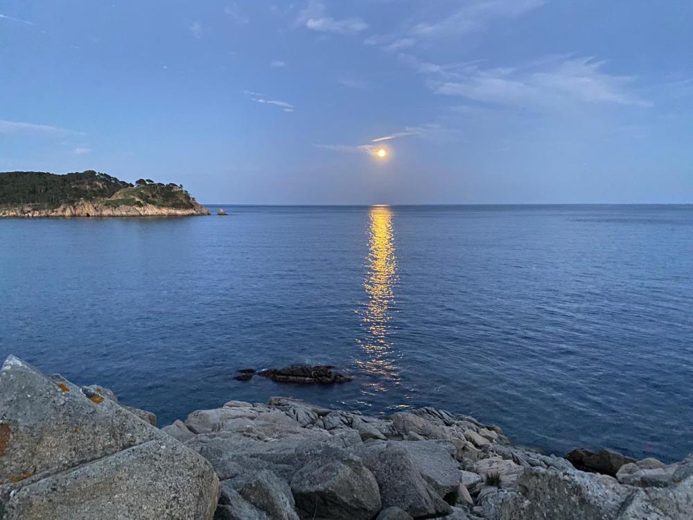  till salu lägenhet Cala Margarida Baix Empordà 17