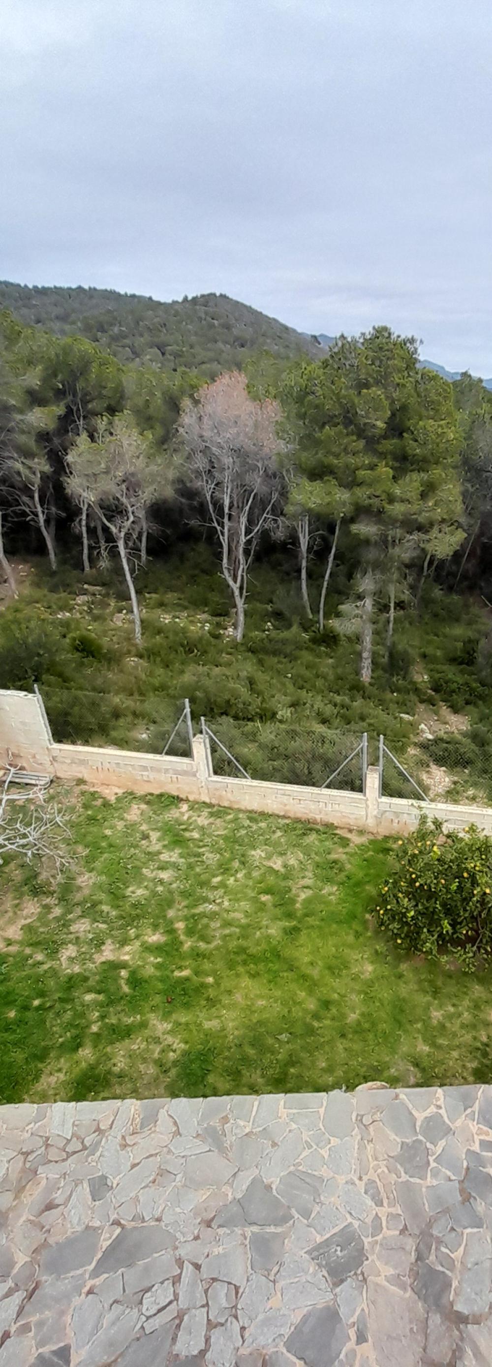  till salu villa Mas Mateu Baix Penedès 21